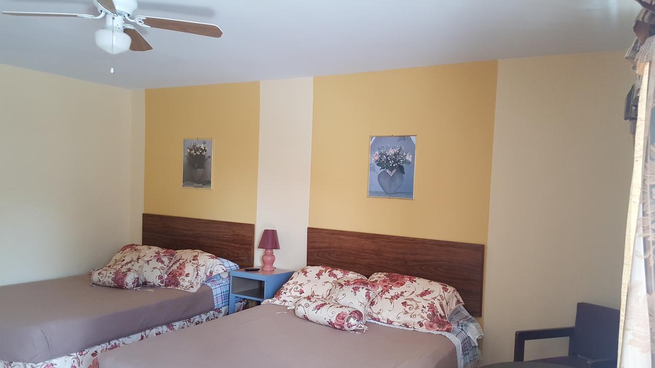 Alpine Motel In Heart Of Wisconsin Dells Downtown. Εξωτερικό φωτογραφία
